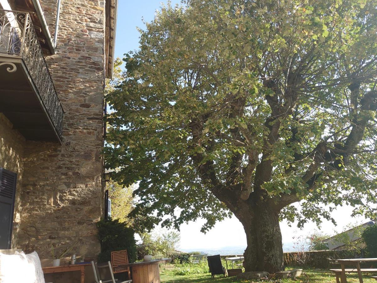 Chateau De Riverie Chambres Et Table D'Hotes Exterior foto